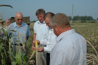 Олег Ковалёв: «С учётом запасов собранного зерна вполне достаточно»